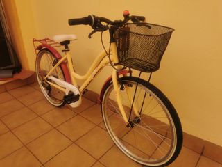 Bicicleta 20 pulgadas (8 a 12 años)