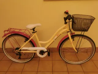 Bicicleta 20 pulgadas (8 a 12 años)