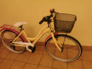 Bicicleta 20 pulgadas (8 a 12 años)
