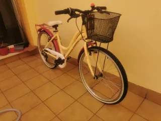 Bicicleta 20 pulgadas (8 a 12 años)