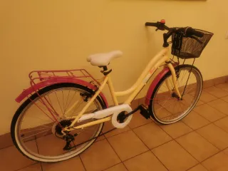 Bicicleta 20 pulgadas (8 a 12 años)