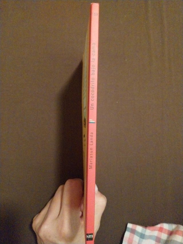 Un cocodrilo bajo la cama.