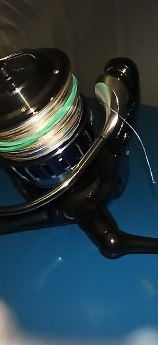 Carrete Daiwa Saltiga 3500H