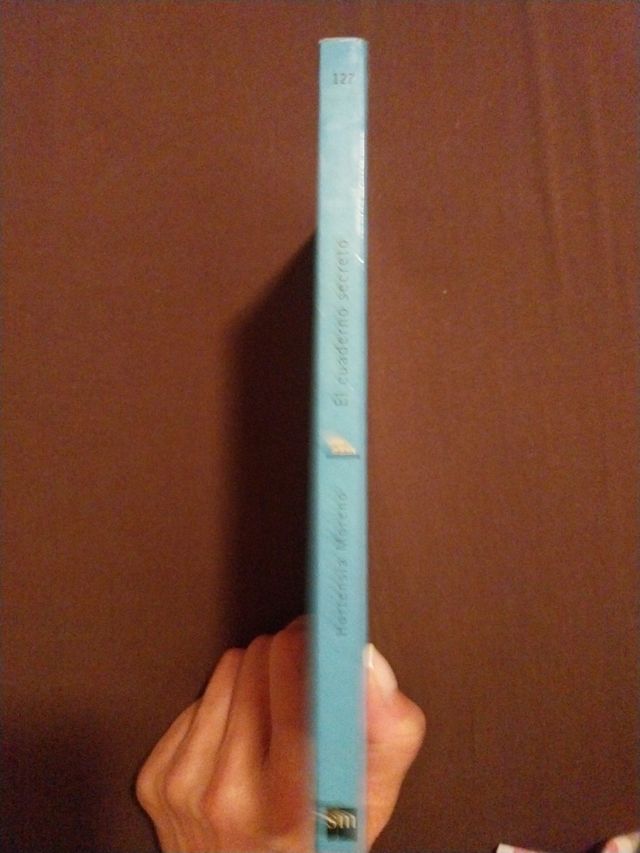 El cuaderno secreto. El barco de vapor