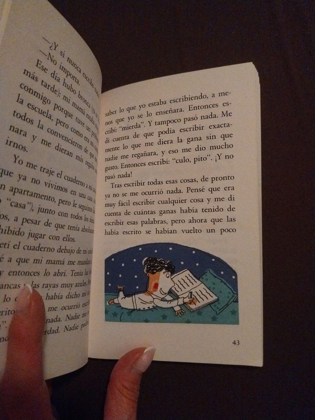 El cuaderno secreto. El barco de vapor