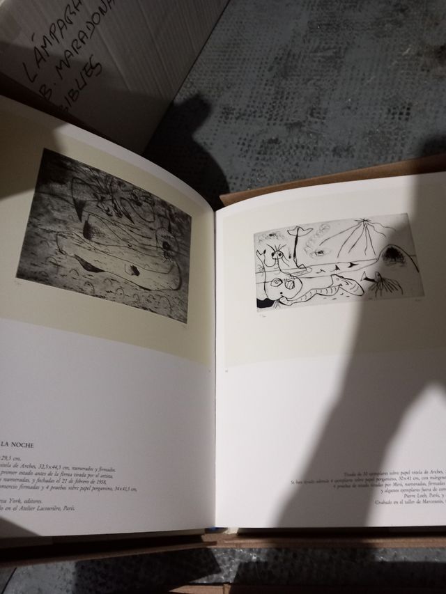 Libros grabador gaudi 2 volumenes