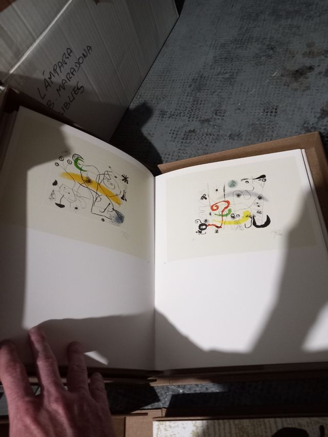 Libros grabador gaudi 2 volumenes