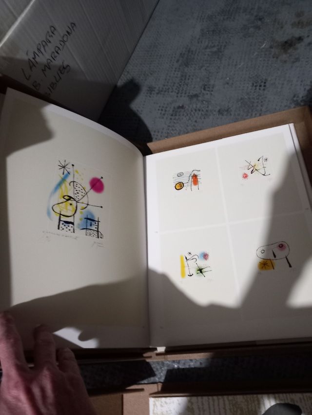 Libros grabador gaudi 2 volumenes