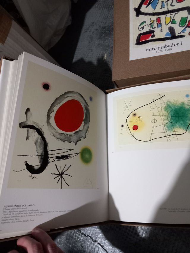 Libros grabador gaudi 2 volumenes