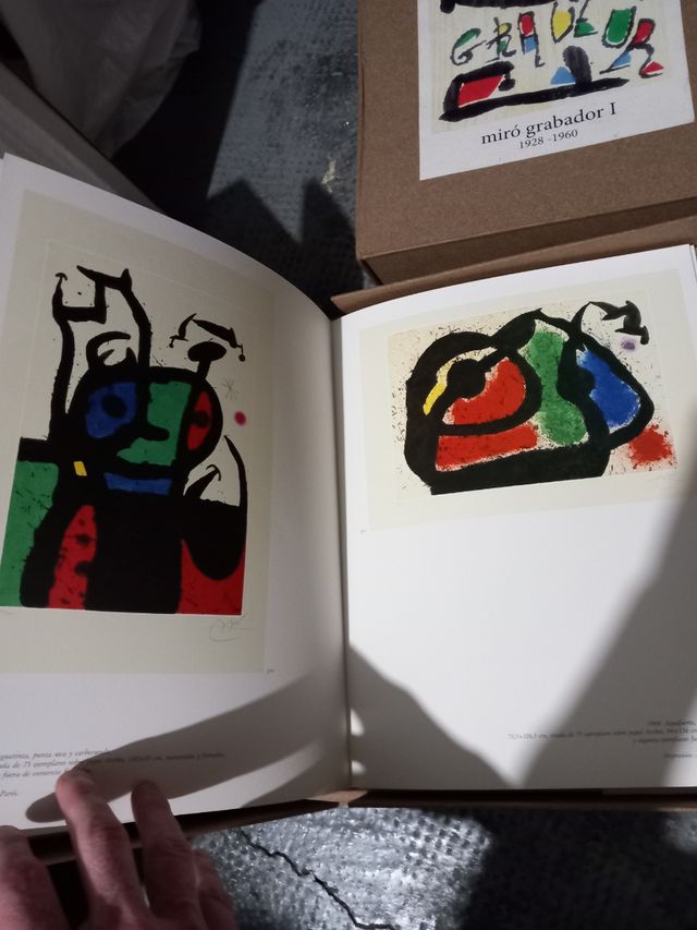 Libros grabador gaudi 2 volumenes