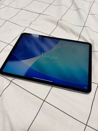 iPad Pro 256GB Gris Espacial