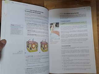 Atención higiénica
