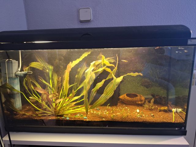 Acuario 100L Negro