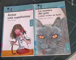 Lote de libros Alfaguara