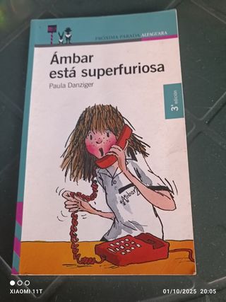 Lote de libros Alfaguara