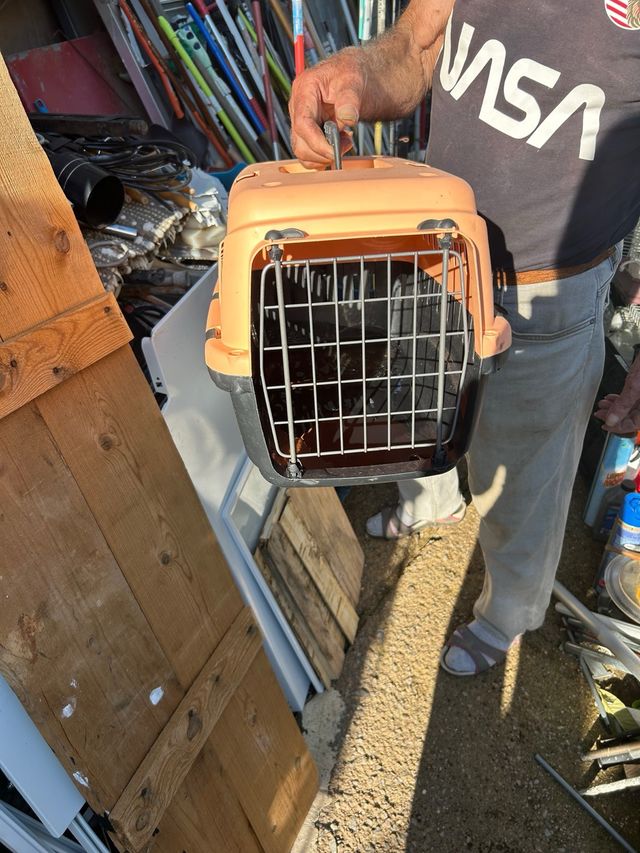 Transportín para mascotas