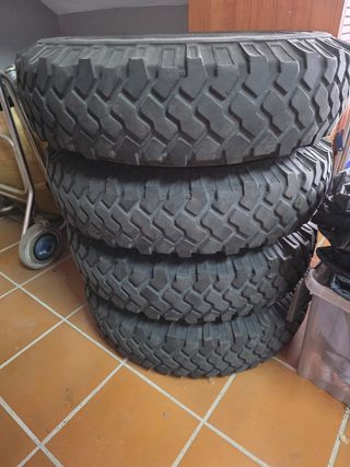 Llantas con neumaticos Michelin Defender td5