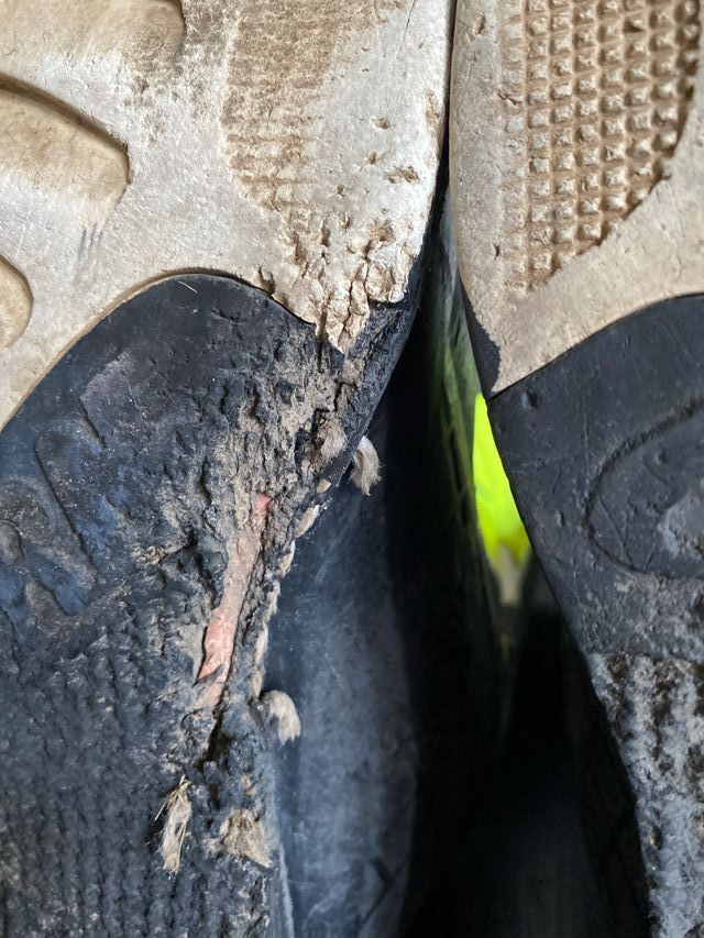 Botas Gaerne G-React Goodyear Talla 43