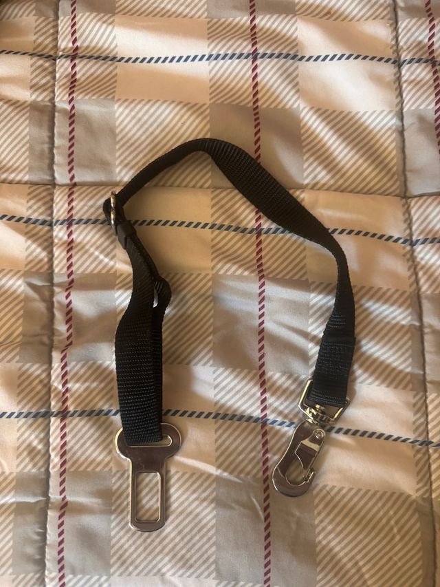 Correa para coche de mascota