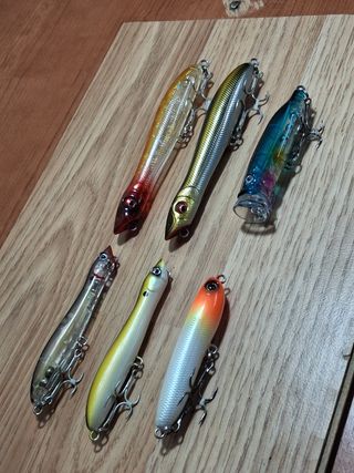 Señuelos de pesca paseantes