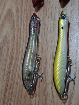 Señuelos de pesca paseantes