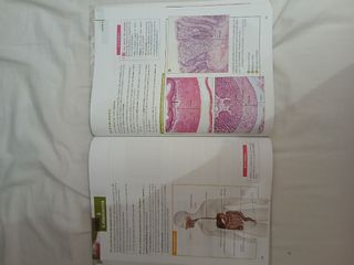 Anatomía Aplicada
