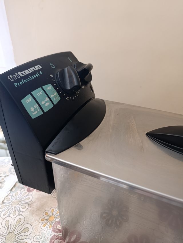 Freidora Taurus Profesional 4L