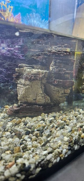 Acuario completo de gran tamaño