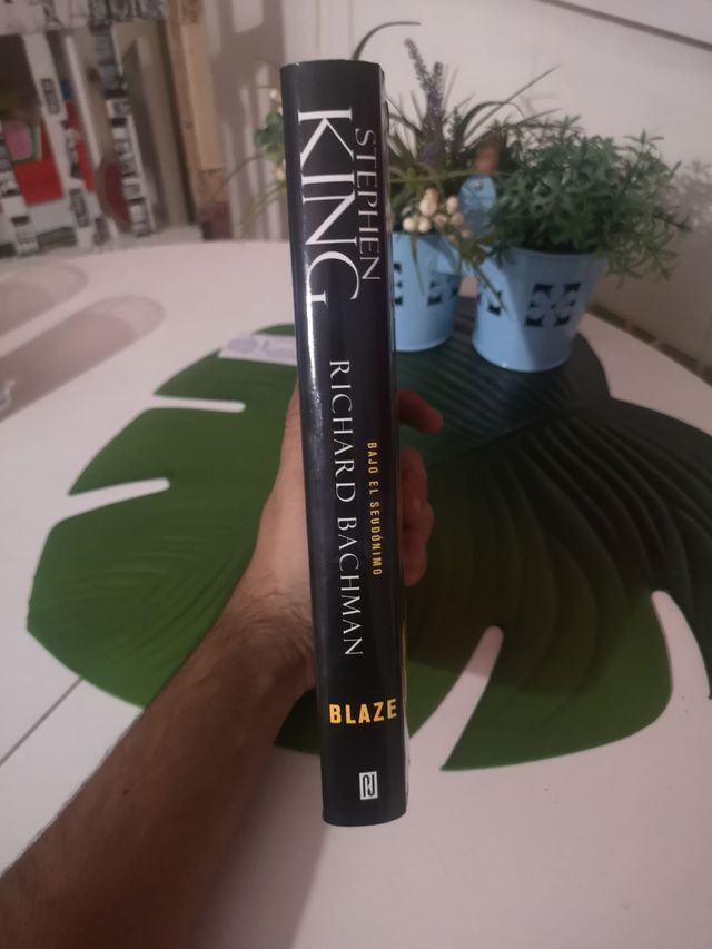 Blaze Stephen King 