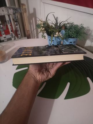 Blaze Stephen King 