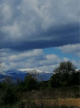 Legna di rovere - La Bañeza, Astorga