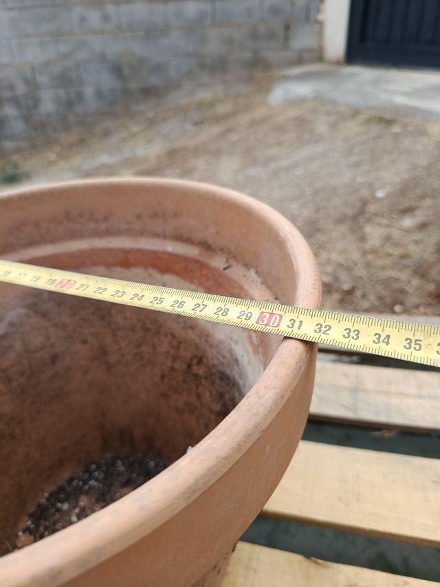 15 Maceteros de cerámica