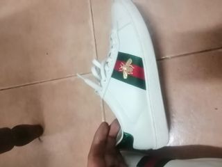 Zapatillas Gucci Talla 36 Originales