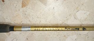 Caña de pescar dorada con anillas