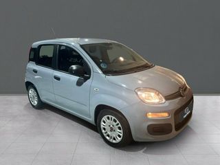 Fiat Panda Panda Hybrid 1.0 Gse 51kw (70CV)