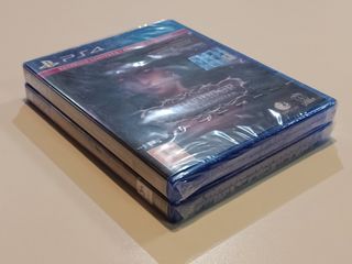 Pathfinder Kingmaker + Wrath of the Righteous PS4