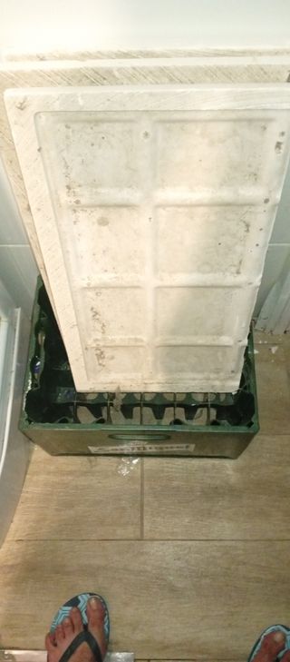 Escayola para moldes