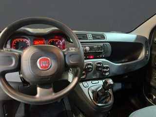 Fiat Panda Panda Hybrid 1.0 Gse 51kw (70CV)