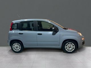 Fiat Panda Panda Hybrid 1.0 Gse 51kw (70CV)
