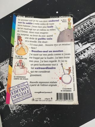 ejercicio por capítulos principito y texto