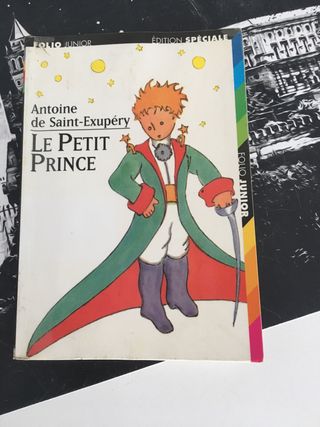 ejercicio por capítulos principito y texto