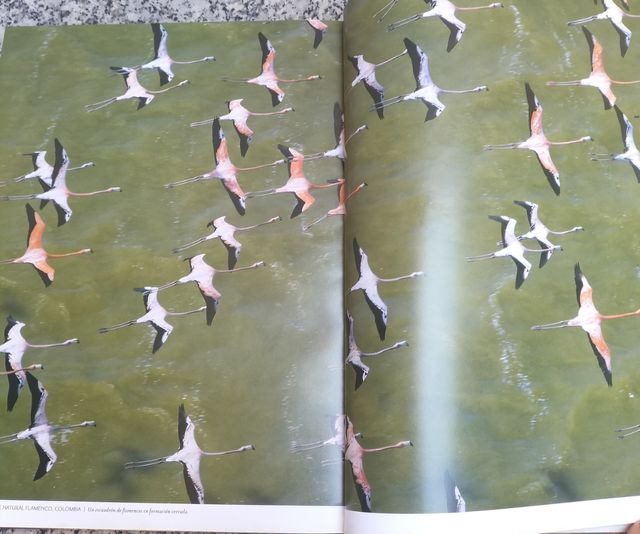 Una vista aérea sobre América Latina NatGeo libro