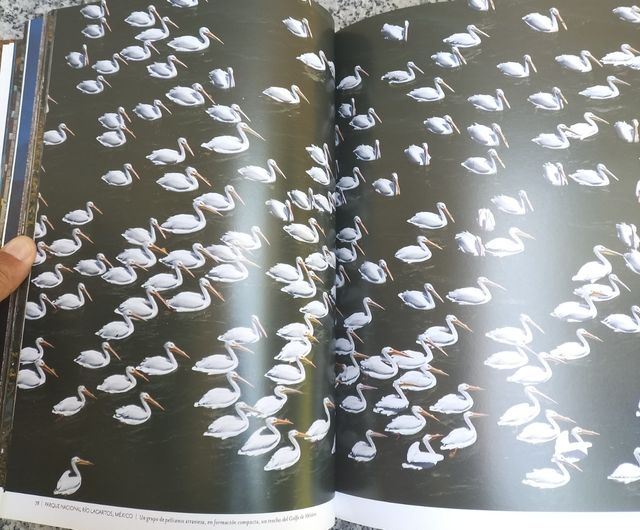 Una vista aérea sobre América Latina NatGeo libro