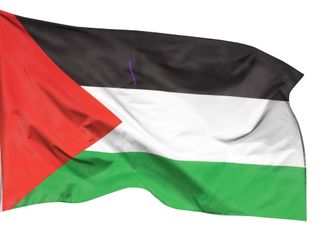 3 Bandiera Palestina 90x150 cm