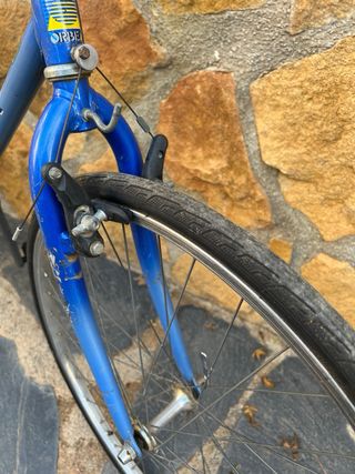 Bici Orbea Sherpa 26 Adulto