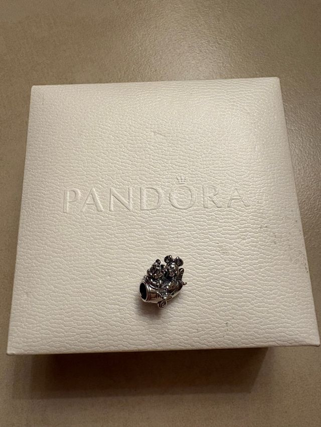 Charm Pandora Disney aereo