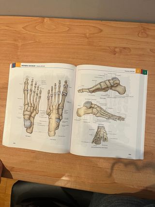 Gray. Atlas de Anatomía