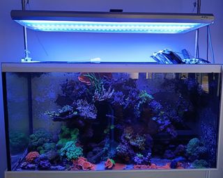 Lámpara LED Acuario Marino ATI