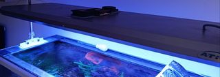 Lámpara LED Acuario Marino ATI