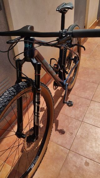 Bicicleta Montaña 29